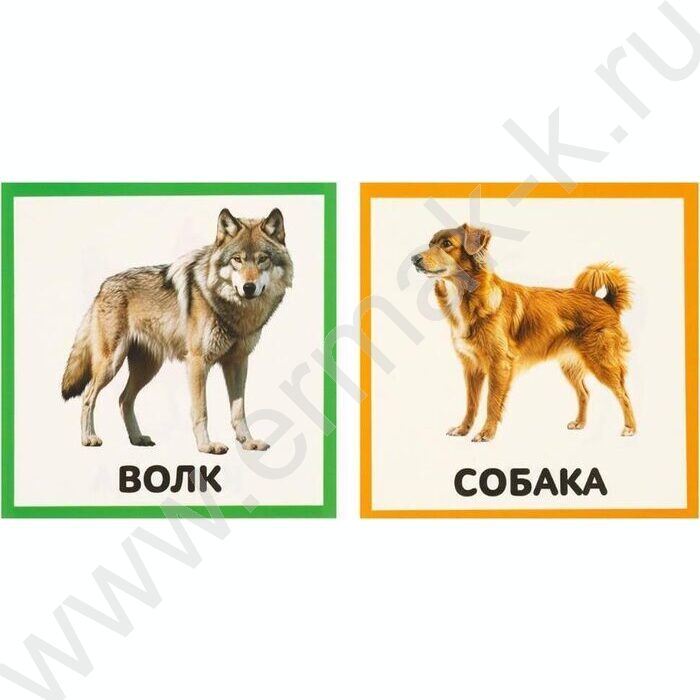 Развивающие карточки.Животные | Фото 7