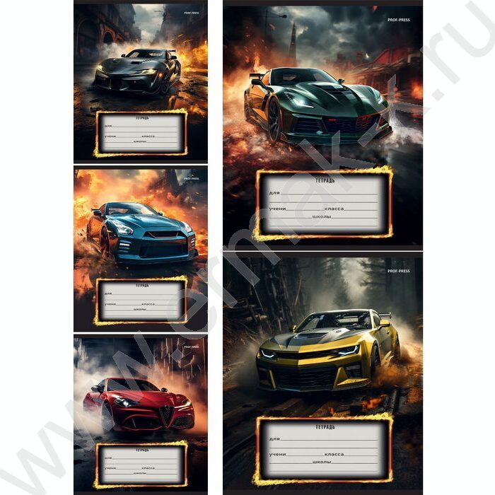 Тетрадь  12л линейка "Авто и драйв" 5видов | Фото 1