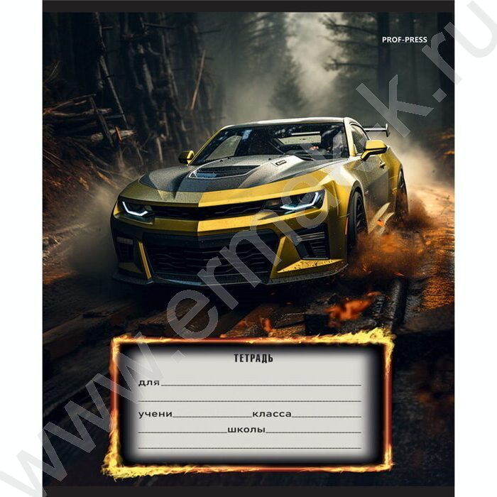 Тетрадь  12л линейка "Авто и драйв" 5видов | Фото 5