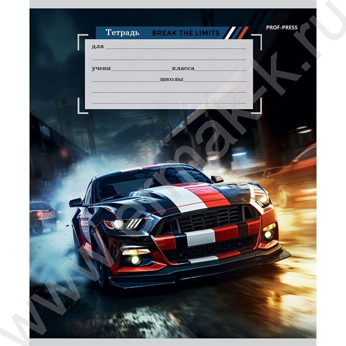 Тетрадь  12л линейка "Разнообразный микс" 5видов | Фото 4