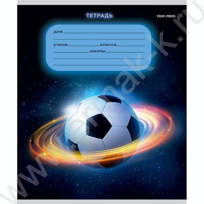 Тетрадь  12л линейка "Разнообразный микс" 5видов | Фото 5