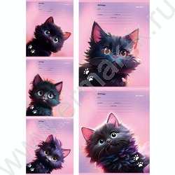 Тетрадь  12л линейка "Черный котик" 5видов | Фото 1