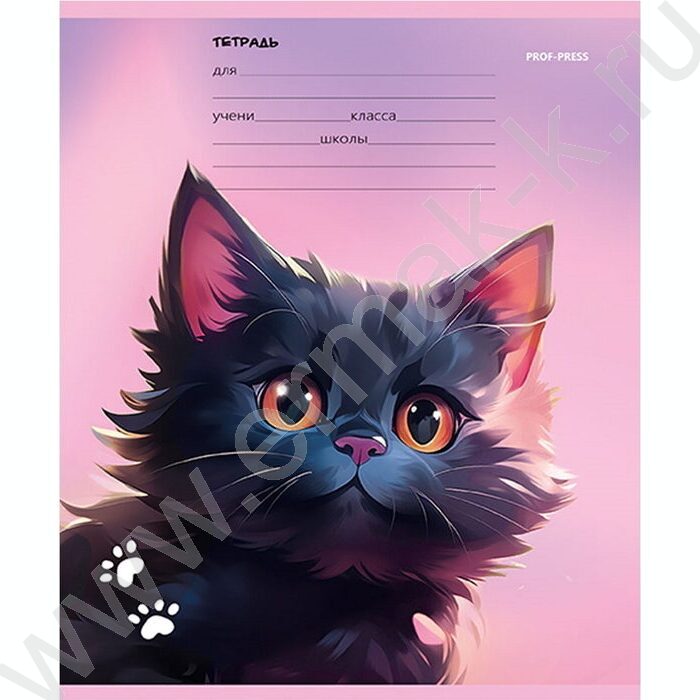 Тетрадь  12л линейка "Черный котик" 5видов | Фото 2