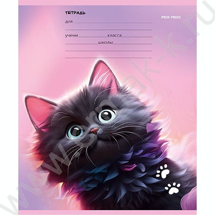 Тетрадь  12л линейка "Черный котик" 5видов | Фото 3
