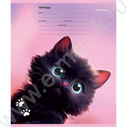 Тетрадь  12л линейка "Черный котик" 5видов | Фото 4