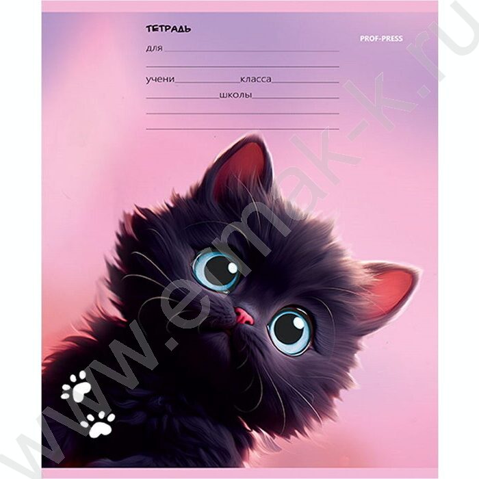 Тетрадь  12л линейка "Черный котик" 5видов | Фото 4