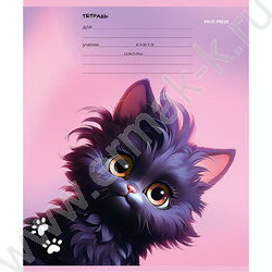 Тетрадь  12л линейка "Черный котик" 5видов | Фото 5
