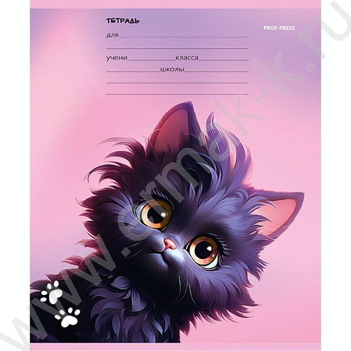 Тетрадь  12л линейка "Черный котик" 5видов | Фото 5