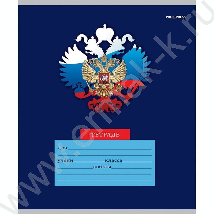 Тетрадь  12л линейка косая частая "Микс" 5видов | Фото 6