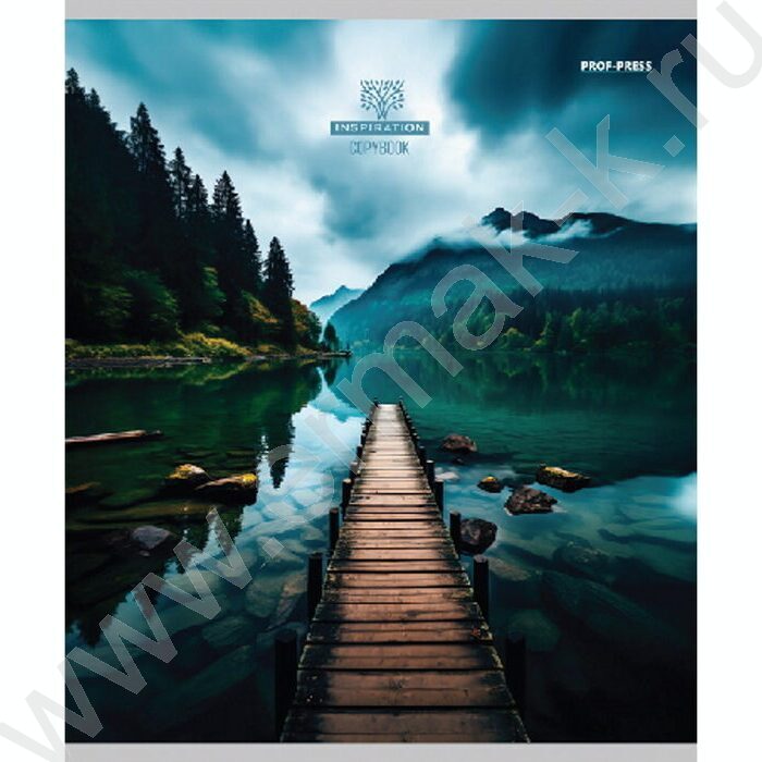 Тетрадь  48л клетка "Атмосферные виды" ассорти | Фото 6