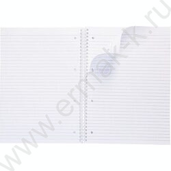 Тетрадь  80л А4 линейка/спираль/многоуров.перфорация "NEWtone PASTEL Серый жемчуг" | Фото 2