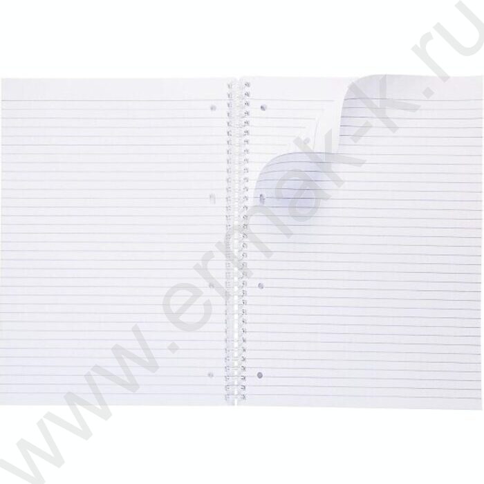 Тетрадь  80л А4 линейка/спираль/многоуров.перфорация "NEWtone PASTEL Серый жемчуг" | Фото 2