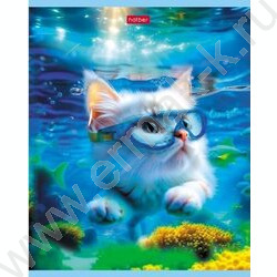 Тетрадь  40л клетка "Коты на релаксе" ассорти | Фото 1