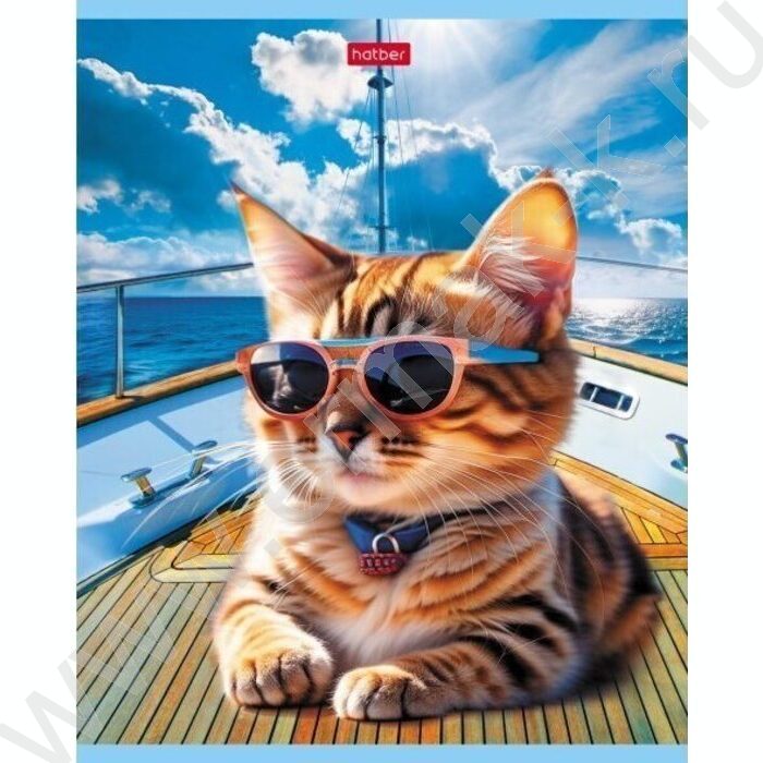 Тетрадь  40л клетка "Коты на релаксе" ассорти | Фото 2