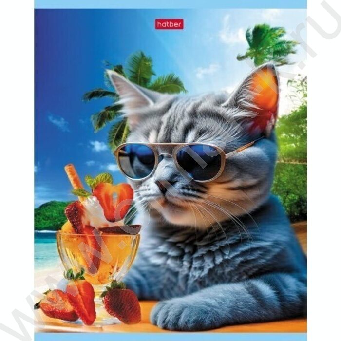 Тетрадь  40л клетка "Коты на релаксе" ассорти | Фото 4