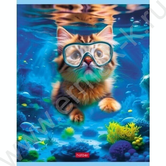 Тетрадь  40л клетка "Коты на релаксе" ассорти | Фото 5