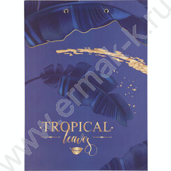 Клипборд А4 мат.ламин. с зажимом Gold Tropic | Фото 2