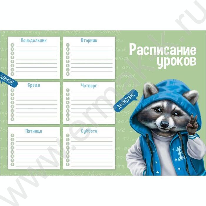 Расписание уроков А4 Енот /выб.Уф-лак/ | Фото 1