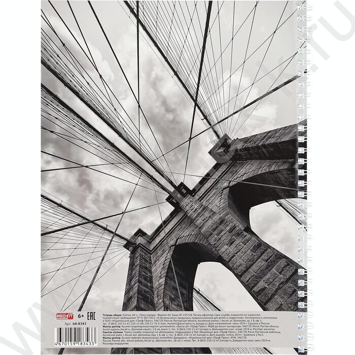 Тетрадь  60л А4 клетка/спираль "Тема города" | Фото 3