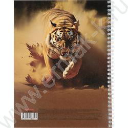 Тетрадь  96л А4 клетка/спираль "Природа пустыни" ассорти | Фото 4