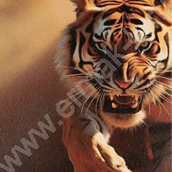 Тетрадь  96л А4 клетка/спираль "Природа пустыни" ассорти | Фото 5