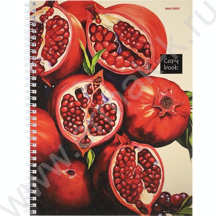 Тетрадь  96л А4 клетка/спираль "Яркие плоды" ассорти | Фото 1