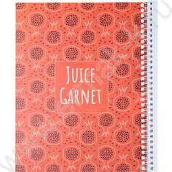 Тетрадь  96л А4 клетка/спираль "Яркие плоды" ассорти | Фото 2