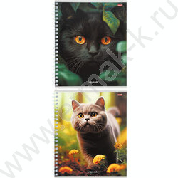 Тетрадь  80л клетка/спираль "Разные коты" ассорти | Фото 1