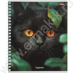 Тетрадь  80л клетка/спираль "Разные коты" ассорти | Фото 2