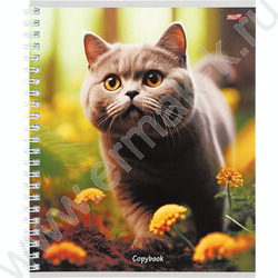 Тетрадь  80л клетка/спираль "Разные коты" ассорти | Фото 3