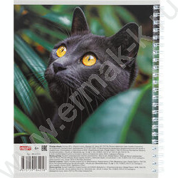 Тетрадь  80л клетка/спираль "Разные коты" ассорти | Фото 5