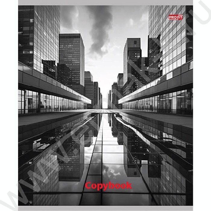 Тетрадь  48л клетка "Мегаполис в чёрно-белом" ассорти | Фото 4