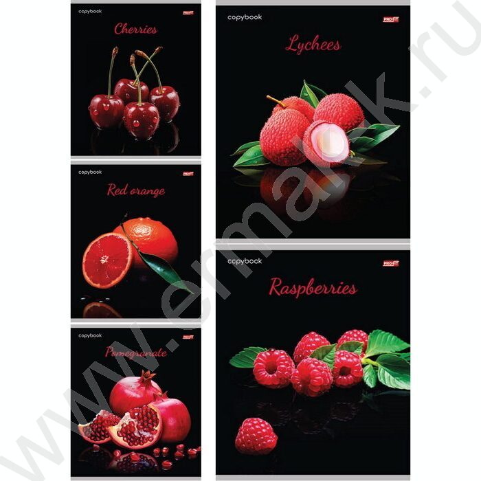 Тетрадь  48л клетка "Яркие фрукты и ягоды" ассорти | Фото 1