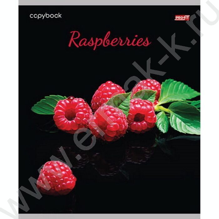 Тетрадь  48л клетка "Яркие фрукты и ягоды" ассорти | Фото 5