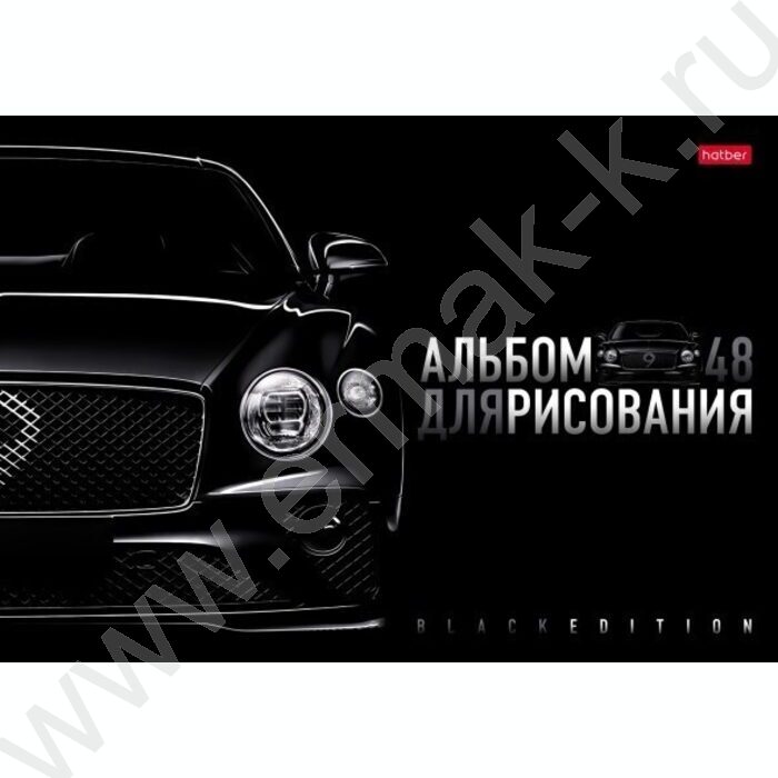Альбом д/рисования пл.обл. 48л "Black Edition" /тиснение/ | Фото 3