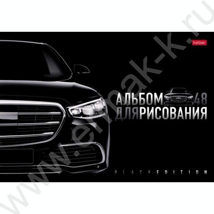 Альбом д/рисования пл.обл. 48л "Black Edition" /тиснение/ | Фото 4