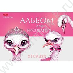 Альбом д/рисования пл.обл. 48л "Модные страусы" /тиснение/ | Фото 4