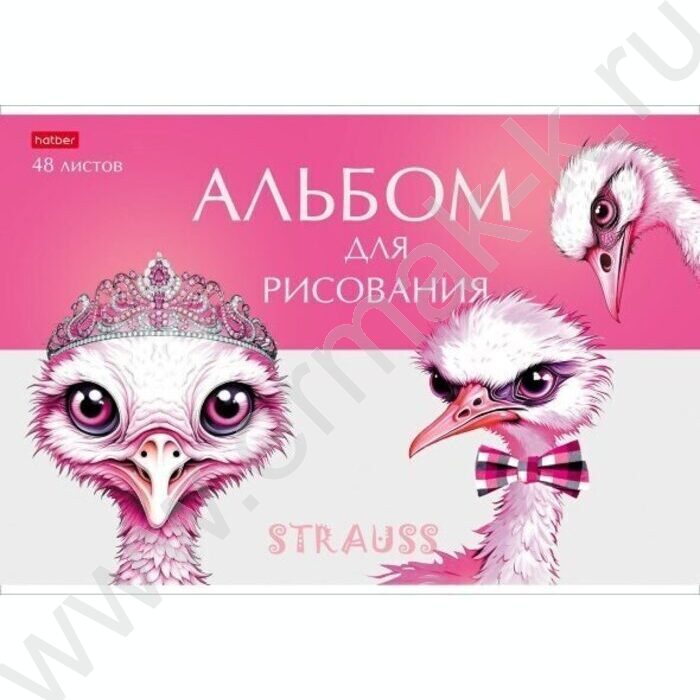Альбом д/рисования пл.обл. 48л "Модные страусы" /тиснение/ | Фото 4