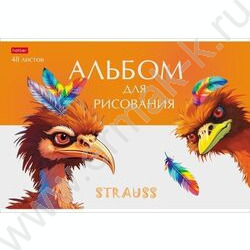 Альбом д/рисования пл.обл. 48л "Модные страусы" /тиснение/ | Фото 5