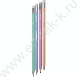 Карандаш пластиковый  с ластиком  HB JOY® Pastel Bloom /круглый /корпус - аасортм /туба | Фото 1