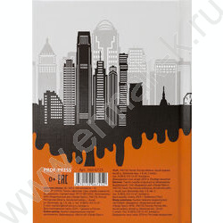 Зап. книжка 160л А6 тв.обл. "На контрасте-5" /глянец/лен/ | Фото 4