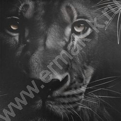 Тетрадь  96л клетка/спираль "Величие животного мира" /твин-лак/ ассорти | Фото 5