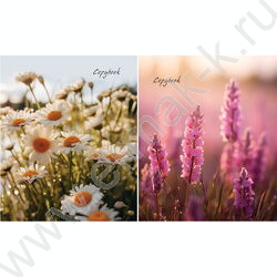 Тетрадь  96л клетка/спираль "Нежные полевые цветы" /софт-тач/ ассорти | Фото 1