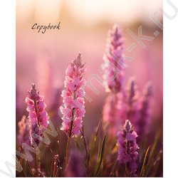 Тетрадь  96л клетка/спираль "Нежные полевые цветы" /софт-тач/ ассорти | Фото 2