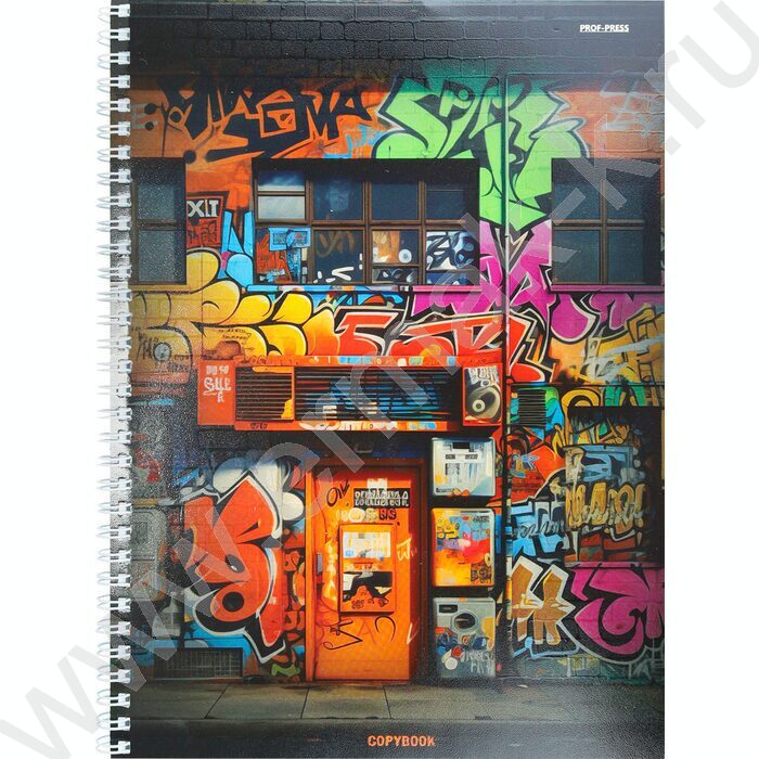 Тетрадь  96л А4 клетка/спираль "Дом в граффити" /твин-лак/ | Фото 1
