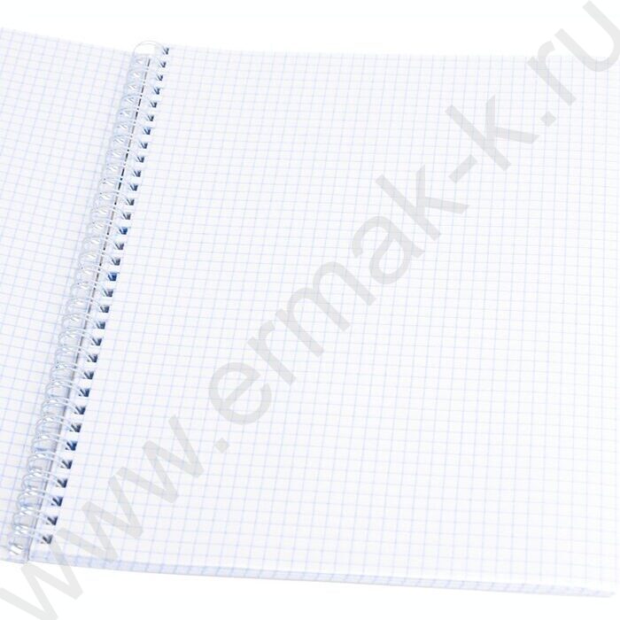 Тетрадь  96л А4 клетка/спираль "Дом в граффити" /твин-лак/ | Фото 2