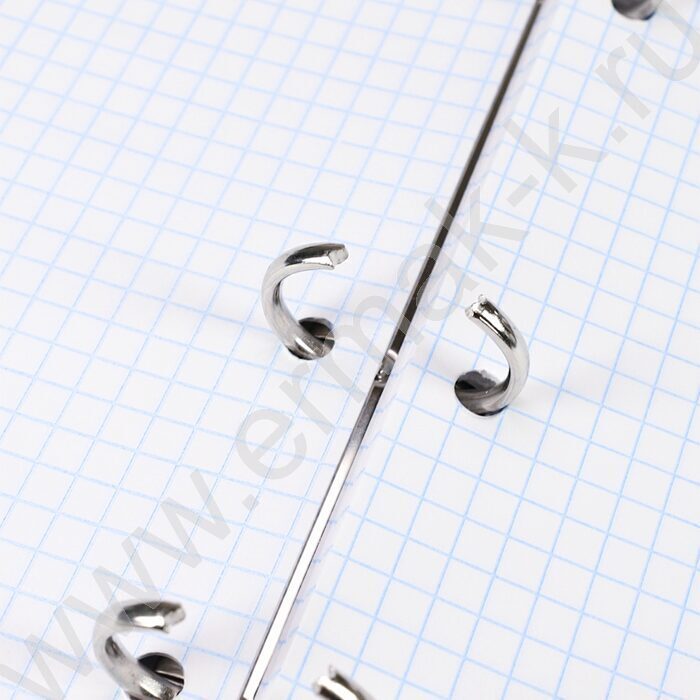 Тетрадь  80л клетка/кольца "Нежные цветы-10" /глянец/лен/ | Фото 6