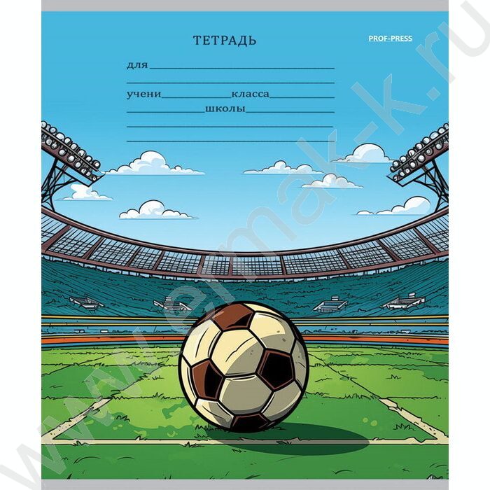 Тетрадь  12л линейка косая частая "Микс" 5видов | Фото 3