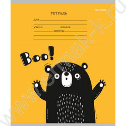 Тетрадь  12л линейка косая частая "Микс" 5видов | Фото 6