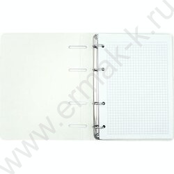 Тетрадь 120л клетка/кольца "Stay Curious" | Фото 2